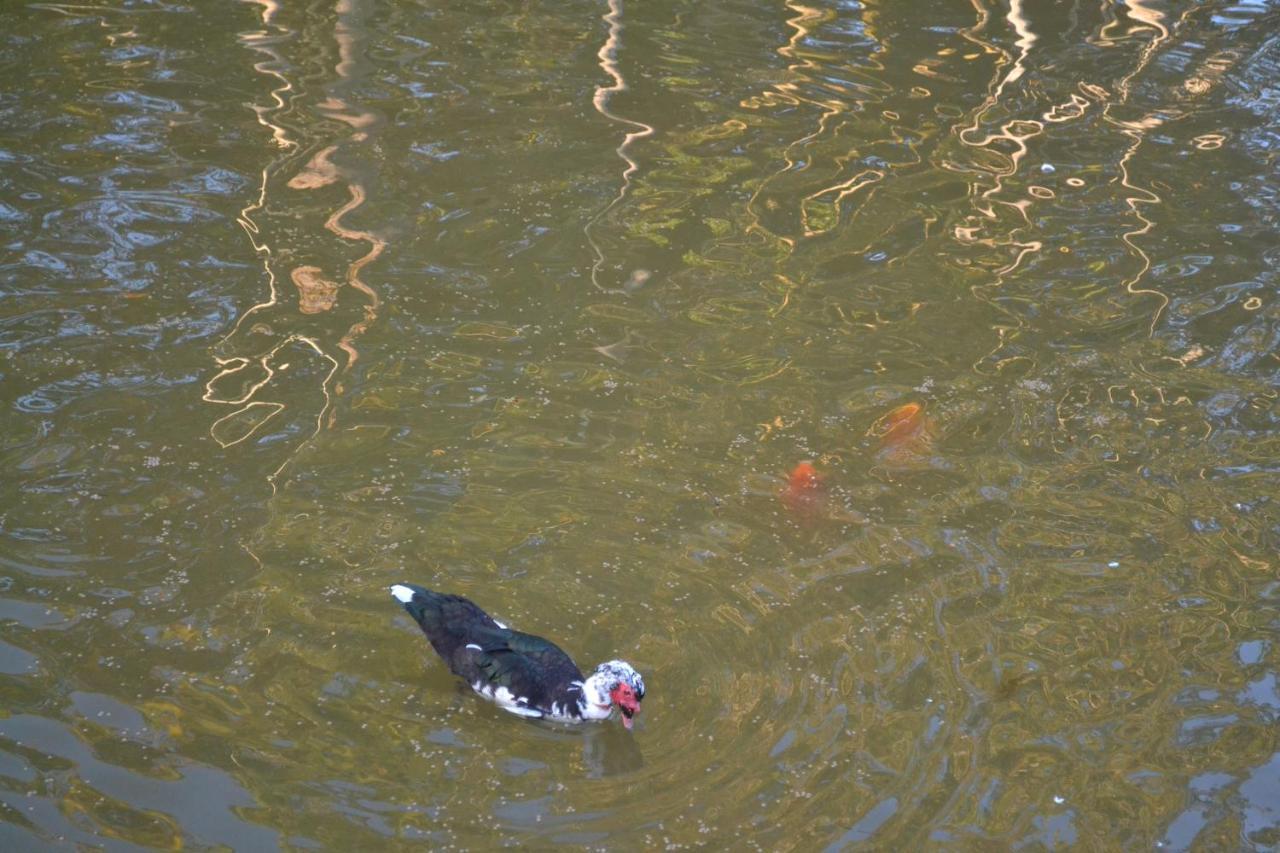 Pousada Di Venezia - Hotel Fazenda Nova Veneza  Eksteriør bilde